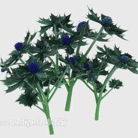 3д модель уличного крупнолистного растения