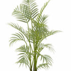 Téléchargement du modèle 3d de la plante de palmier.