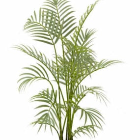 3D model vnitřní palmové rostliny