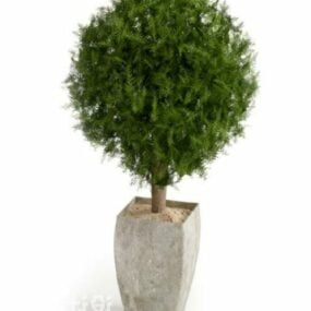 Vase Fern Tree 3d model