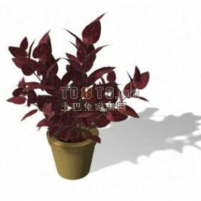Plant In Pot Red Leaf 3d model