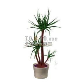 Plant Potted Indoor 3d model