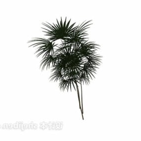 Garden Palm Plant Bushes 3d model