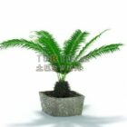 Plant Potted Concrete Material