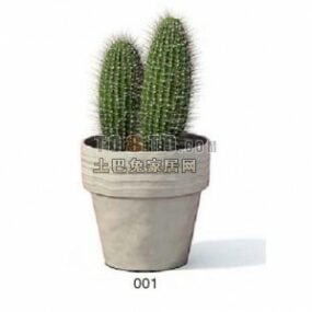 Cactusplant in pot 3D-model