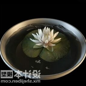 Lotus Potted 3d model