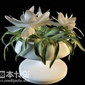 Decoration Flower Potted Plant 3d model