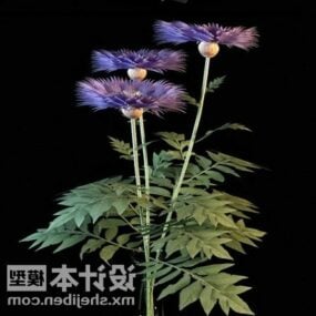 Violet Flower Potted Plant 3d model