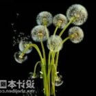 Dandelion Flower Vase Pot