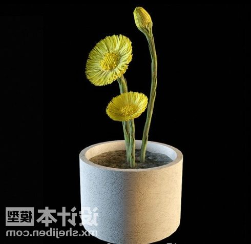 Minimalist Flower Potted Plant