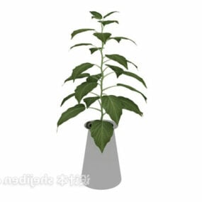 Planta en maceta decorativa modelo 3d.