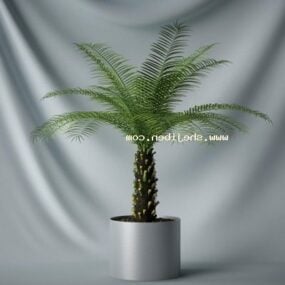 Potted Small Palm Tree 3d model