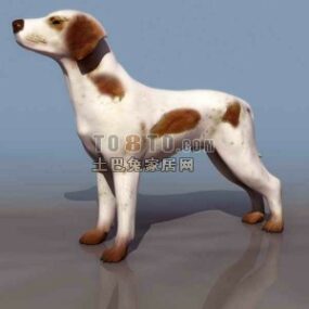강아지 개 흰색 갈색 모피 3d 모델