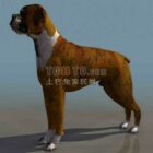 子犬-動物の映像23dモデルのダウンロード。