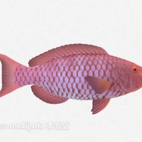 مدل سه بعدی ماهی بنفش طبیعت