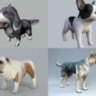 Collection de modèles 3d de chien réaliste