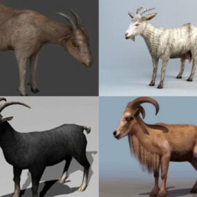 Gerçekçi Keçi 3D Modelleri Koleksiyonu