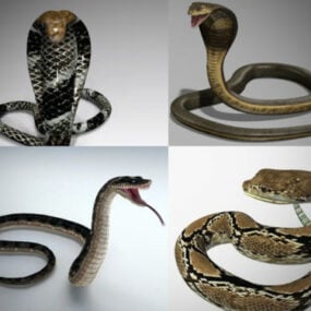 10个逼真的Snake 3D模型收藏