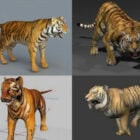 Collezione di modelli 3d tigre realistica