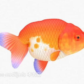 نموذج حوض سمكة ذهبية حمراء ثلاثية الأبعاد