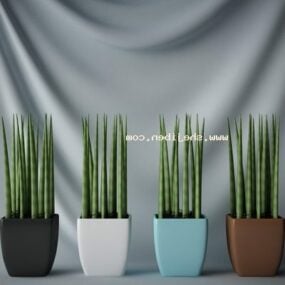 Modello 3d della pianta in vaso della stanza interna