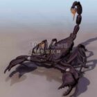 Черный скорпион, дикое животное