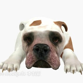 كلب الكرتون Rigged 3d نموذج
