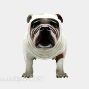 Bulldog Animal 3d model