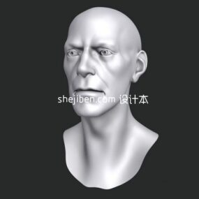 Jednoduchý 3D model sochy hlavy