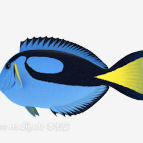 Pequeño pez azul modelo 3d