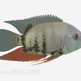 Liten platt fisk 3d-modell