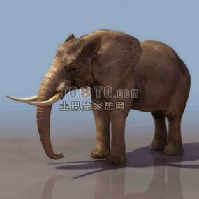 東南アジアの象の動物3Dモデル