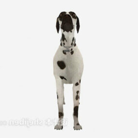 Spotted Dog Animal V1 3d model