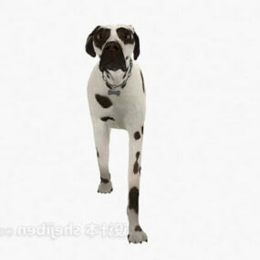 Modello 3d del cane maculato
