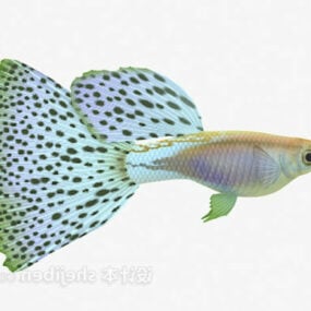 3D model zvířete skvrnité ryby