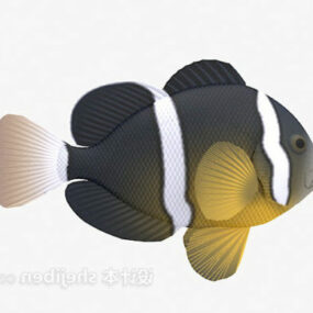 Pruhovaný 3D model Bass Fish