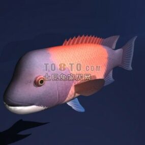 Modelo 3d de animal de peixe de cabeça grande