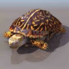 Schildkröte Lowpoly Animal