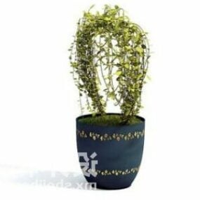 Office Indoor Vine Potted Plant Decorating 3d model