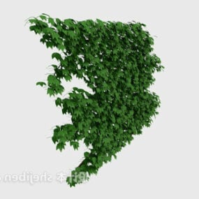 Realistisches Ivy Hedge 3D-Modell