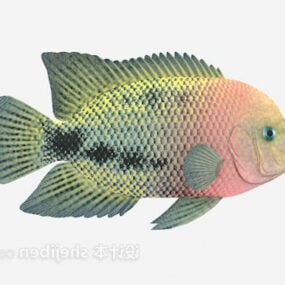 Přírodní zelené ryby 3D model