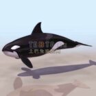 クジラ-動物203dモデル。