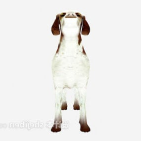 White Brown Dog Animal 3d model