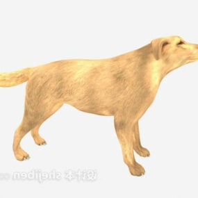 Modelo 3D Animal Cão Lobo