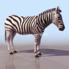 Koń Zebra Afrykańska