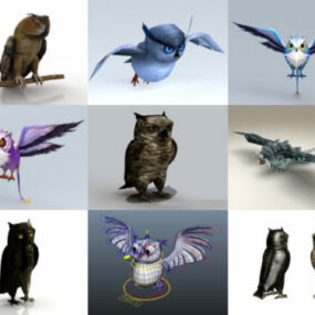 10 Kaunis Owl Free 3D -mallikokoelma