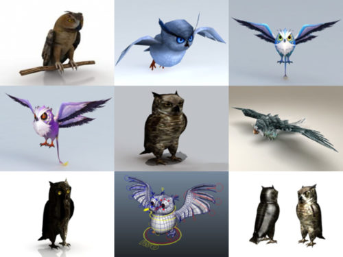 10 Beautiful Owl Free 3D Models Collection