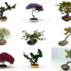 10の盆栽無料3Dモデル–2020-39週
