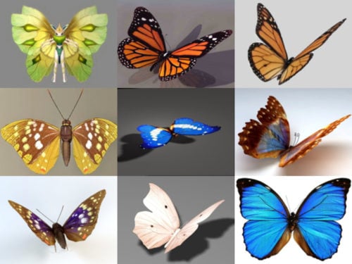 10 realistiska fjärilsfria 3D-modeller