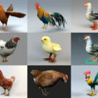 9 Collezione di modelli 3D di pollo realistico